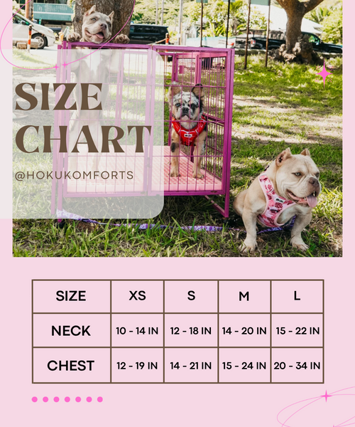 Black Bird of Paradise